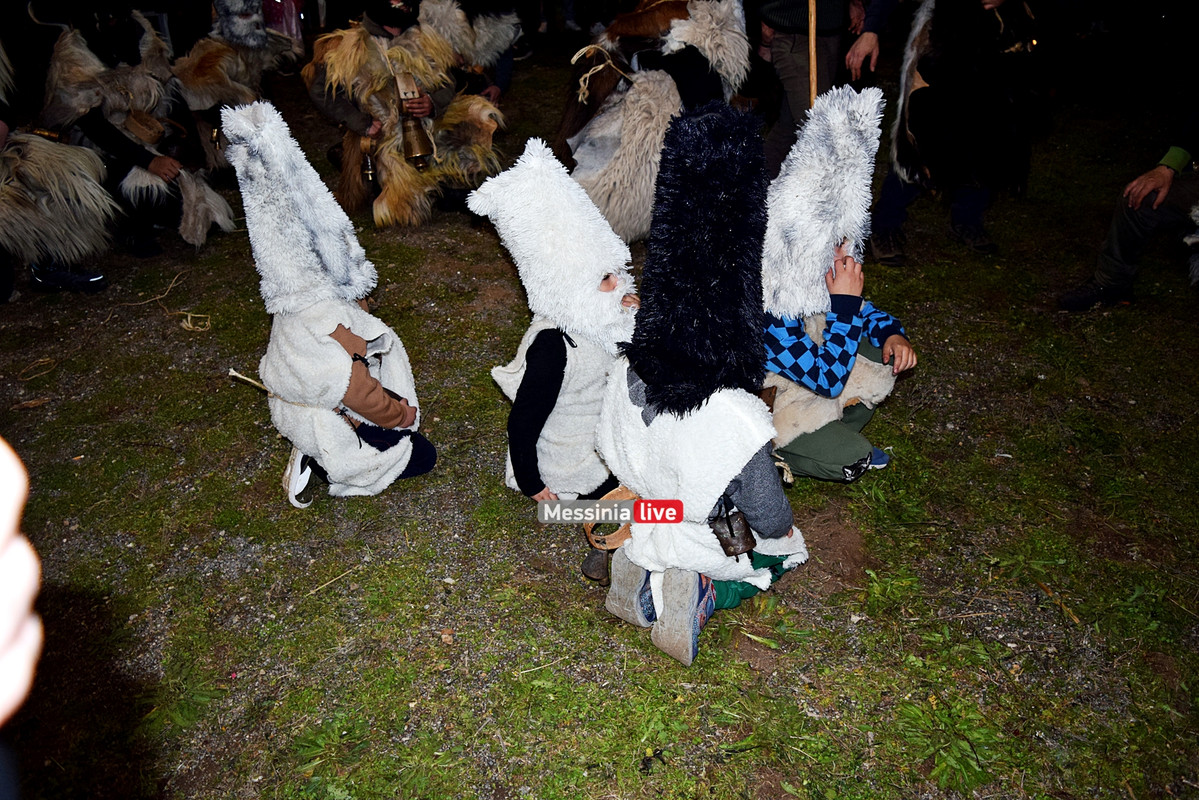 ελαιοχωριDSC_0698