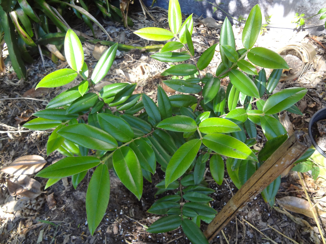 DSC02419