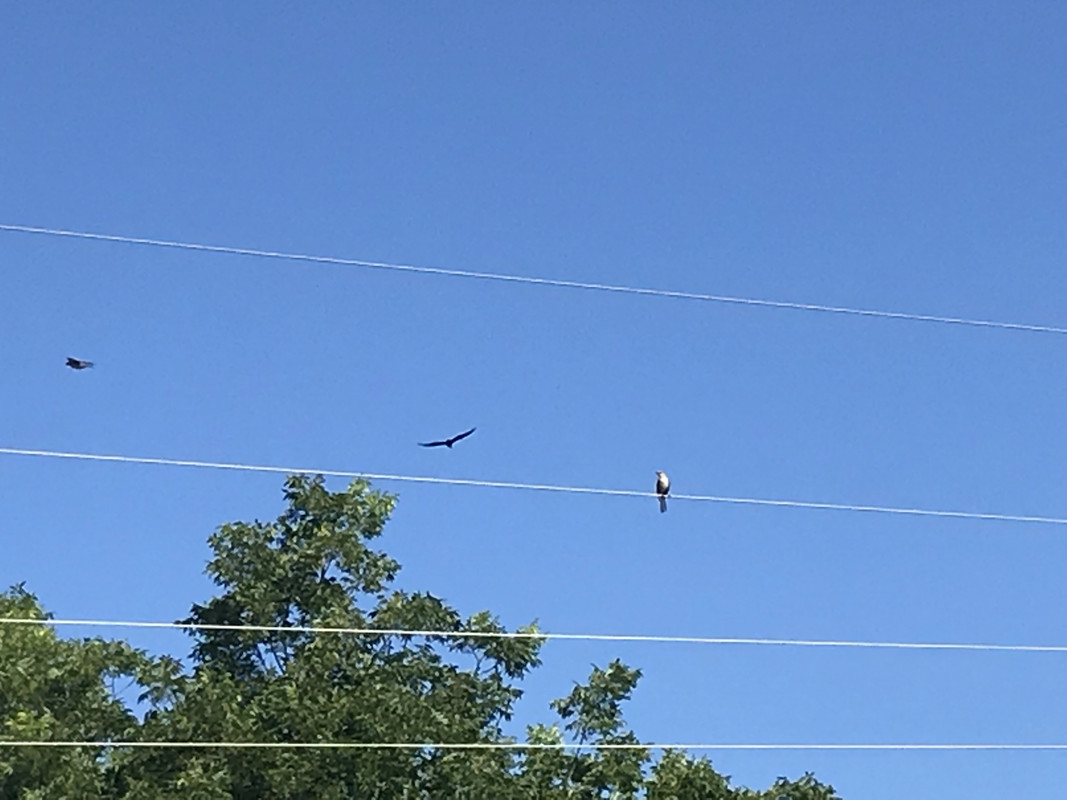 099A6147-B5C8-4A9F-93F0-004D2F343CD3