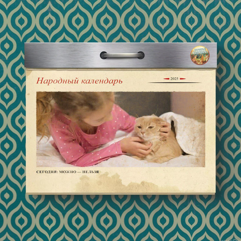 [Изображение: photo-2026-01-19-05-07-12.jpg]