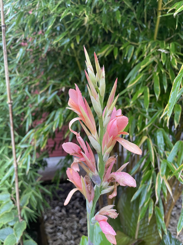 ADFBD555-F5CF-44E3-9EDC-6F80E90EBF8C