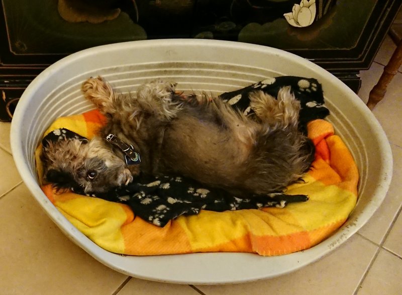 [Image: 20240115-211332.jpg]