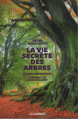 542AA940-C323-4C3B-8150-9F03D834339E