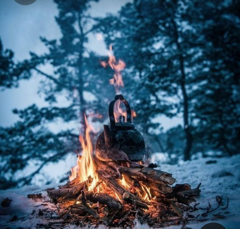 Screenshot_20230315_001459_Pinterest