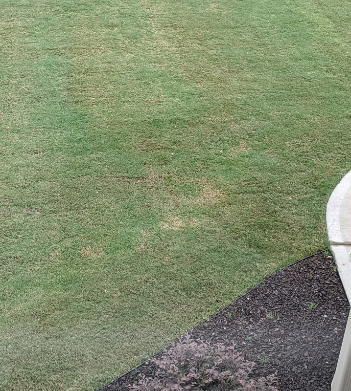 MVIMG_20200729_185425