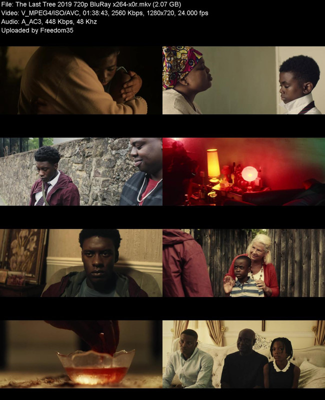 The-Last-Tree-2019-720p-Blu-Ray-x264-x0r