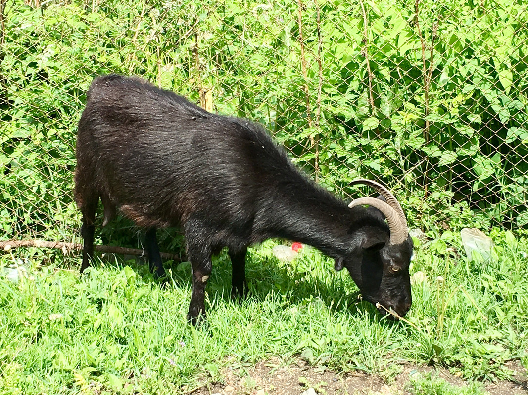 31E3DEF9-48AD-4FA8-98FB-8C1703287EBF