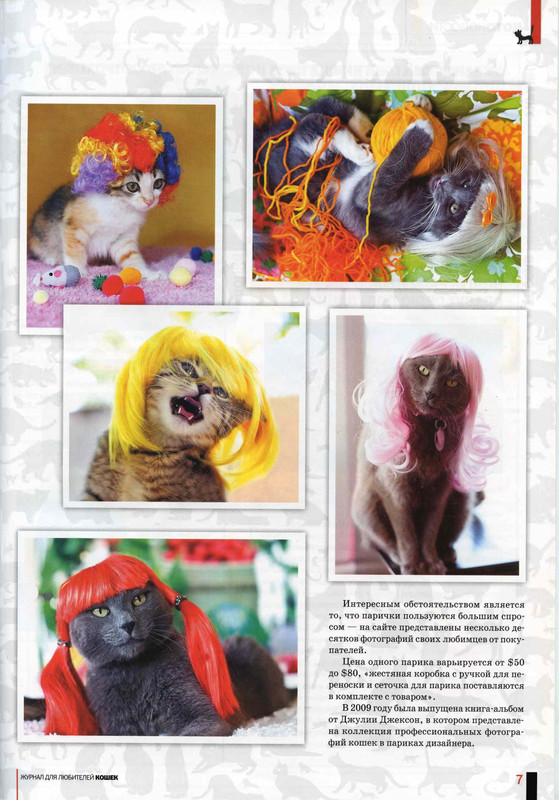 Друг кошек № 9 2010-8