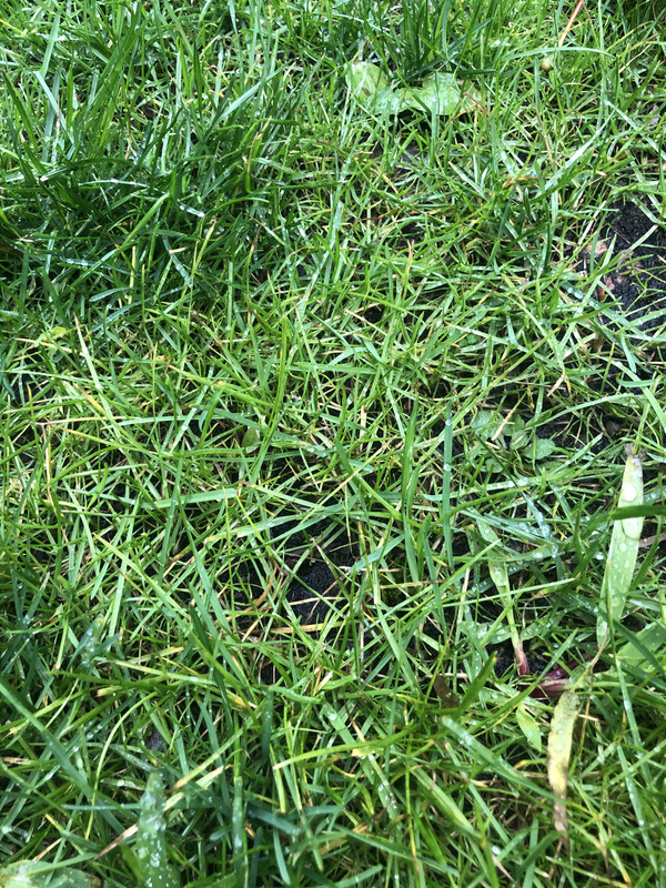 29940D7B-3BA7-4679-A888-F1CE54E356A1