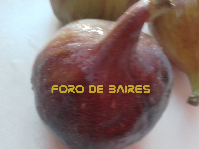 fotohigos6