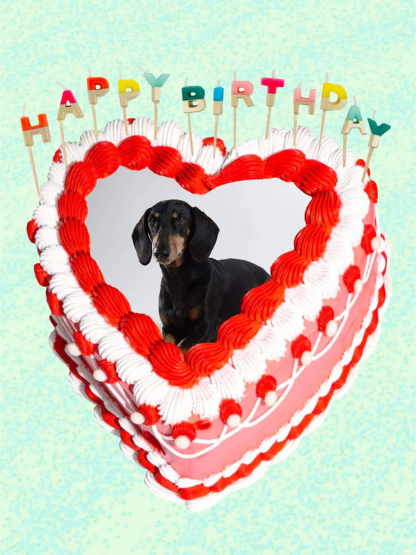 [Image: FB-IMG-1723226898302.jpg]