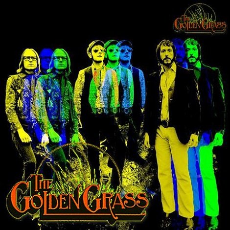 The Golden Grass - Absolutely [WEB] (2018) Lossless
