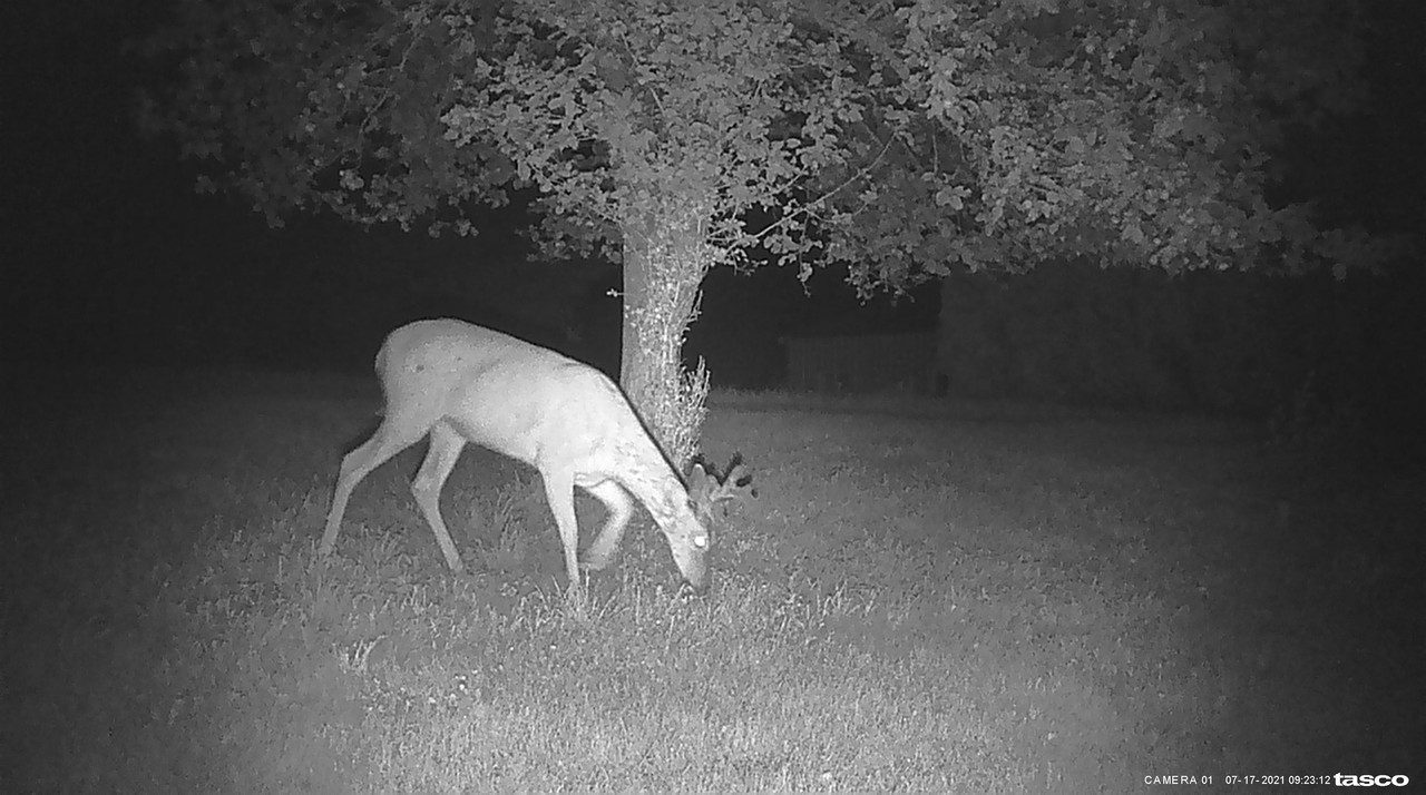 338FAE2B-713B-4931-A1FA-E6627E639B27