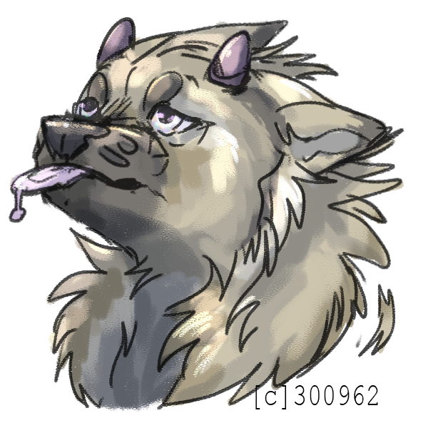 Wp-Side-acc-avi-full.png