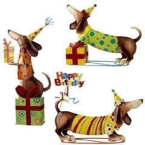 [Image: 54f2b2cc-1166-47aa-8a88-ca23ad7a673b-jpeg.jpg]