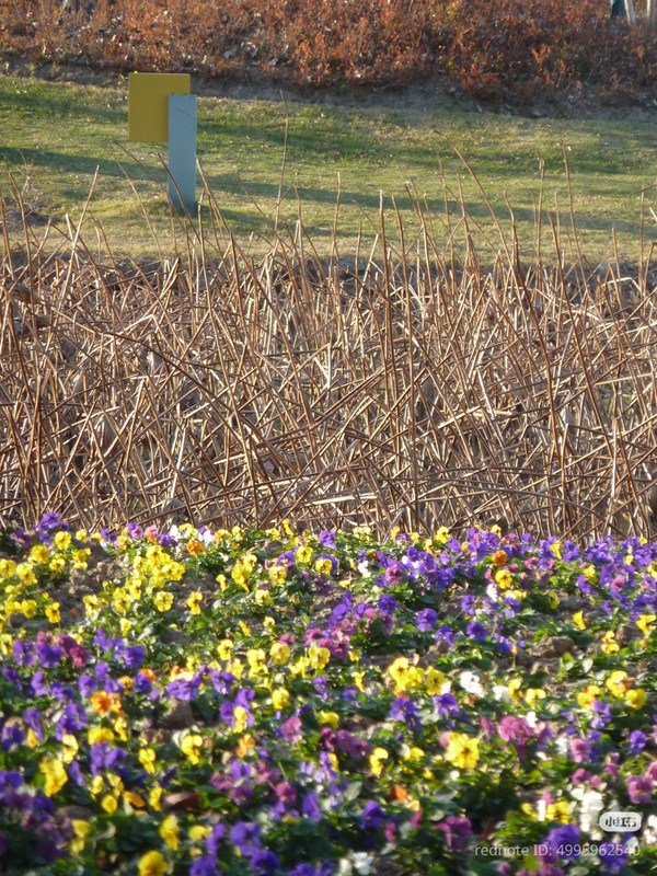 photo 13 2026 01 16 22 00 52