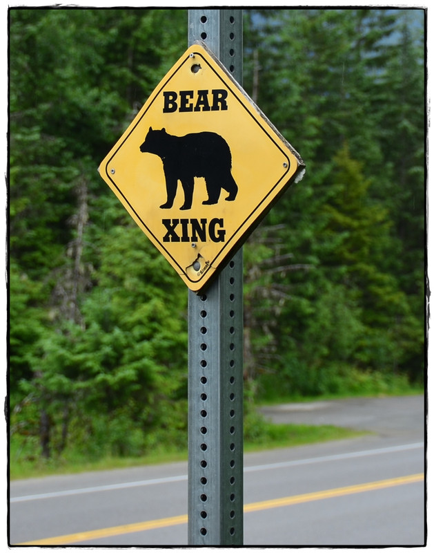 Alaska por tierra, mar y aire - Blogs de America Norte - 24 de junio. Juneau (2)