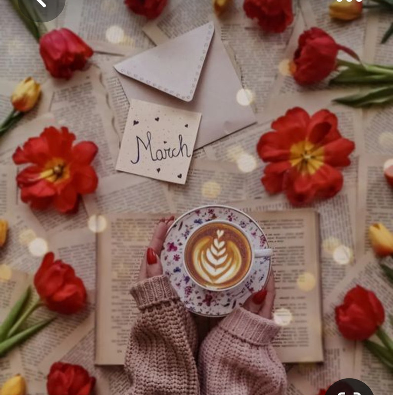 Screenshot_20230316_183233_Pinterest