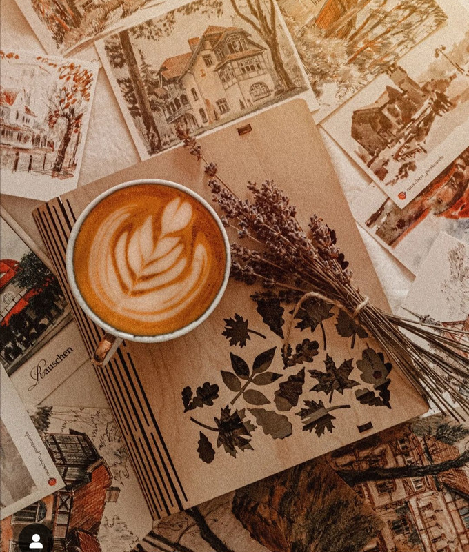 Screenshot_20231204_000349_Instagram