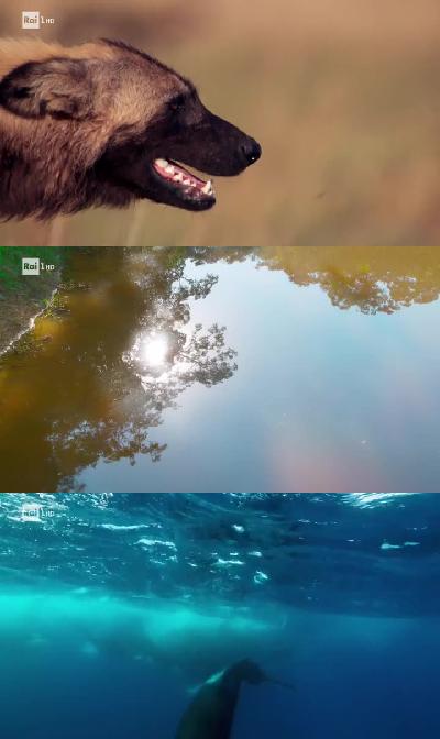 Superquark Natura (03.07.2019) .mkv WEBRip x264 AAC - ITA