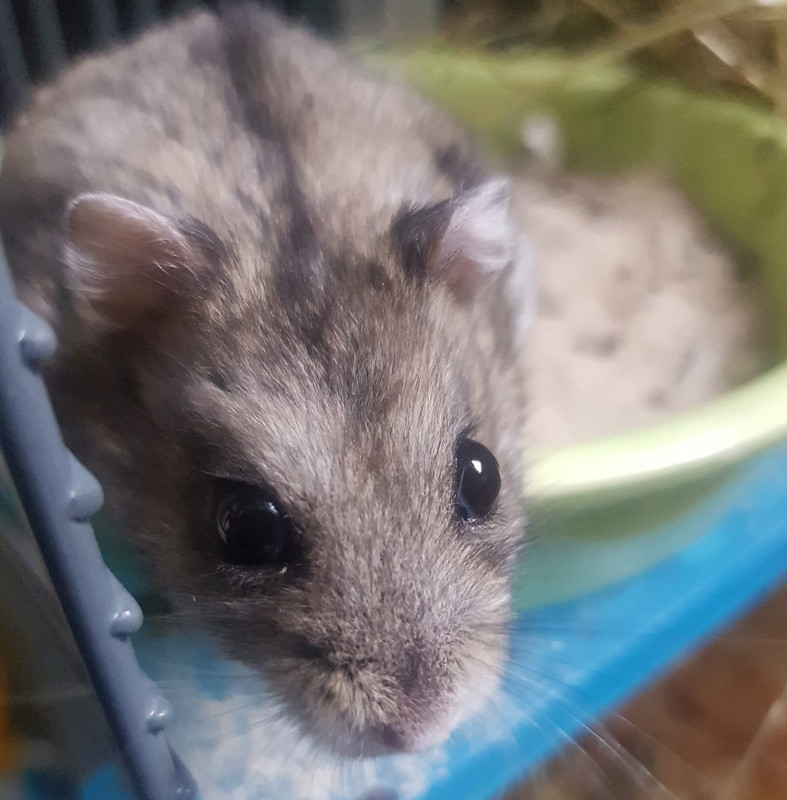 910F889A-FCE7-4885-90B9-87E9D8FC92E1