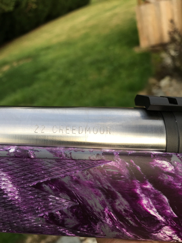 D5F74184-A3B7-4830-A507-A7E0F29DCA6D