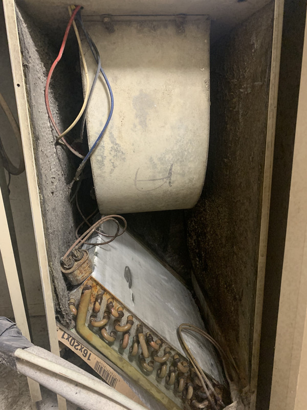 7D420922-31E3-48B3-900D-5F35F29732E5