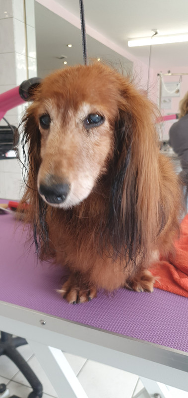 [Image: 20221102-142706.jpg]