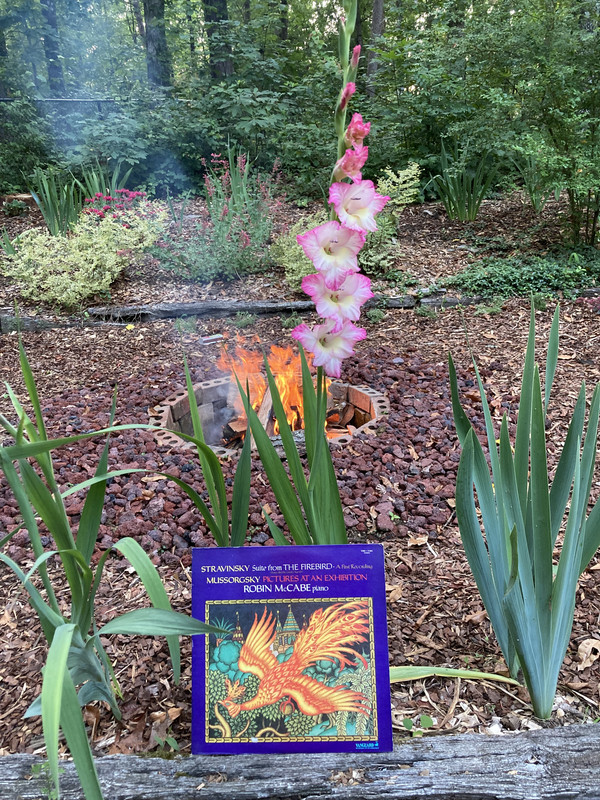 1F29106C-420A-422E-89AB-6A7DB4F63571