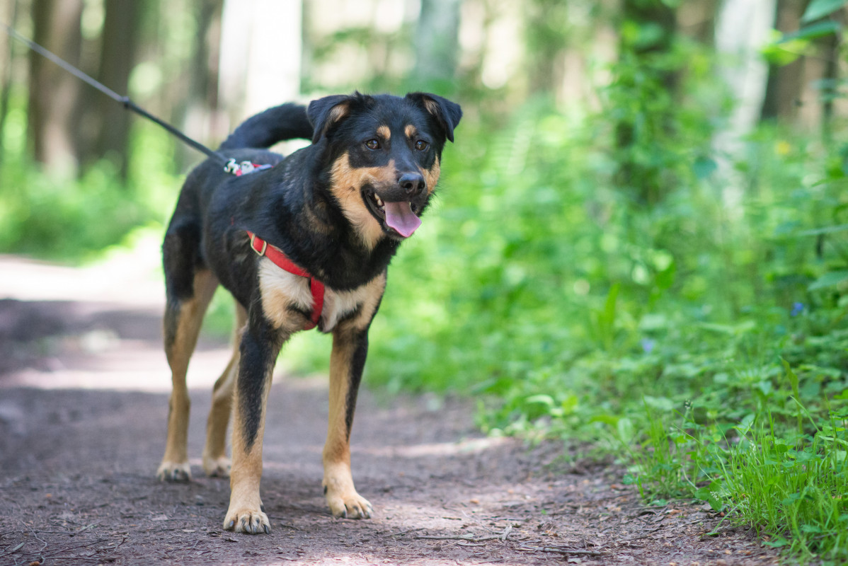 610_0663_гомель