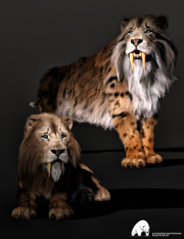 Felidae by AM - Smilodon Populator - Companion Pack