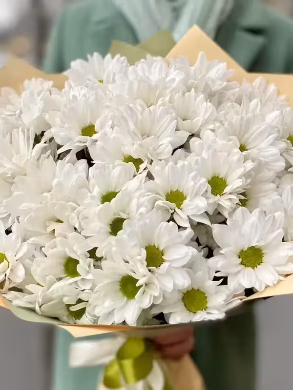 Букет 7 хризантем (1шт)