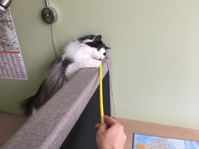 CC7168-EC-81-F4-461-D-966-B-2-F213361745