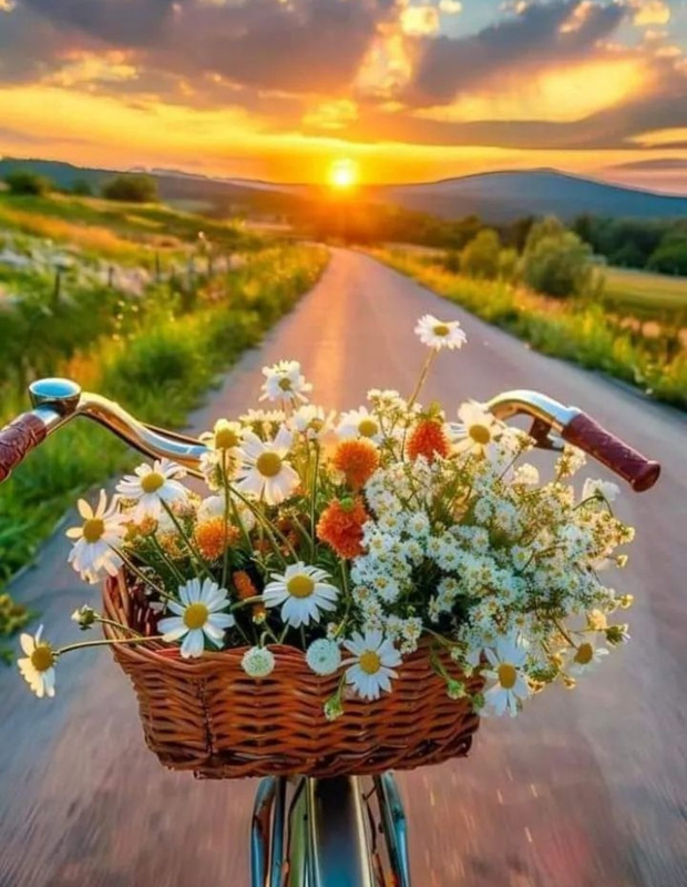 Screenshot_20240505_222211_Threads