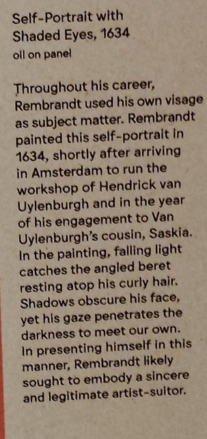 Escapada por Amsterdam - La Haya - Delft - Rotterdam - Leiden - Londres - Blogs de Europa - Museo Mauritshuis, decepcionante Depot Boijmans y callejeo por Delft y Leiden (165)