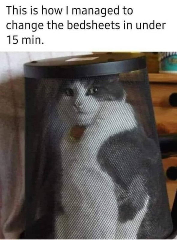 3BE322D5-B95E-4238-B9E0-C708B8830392