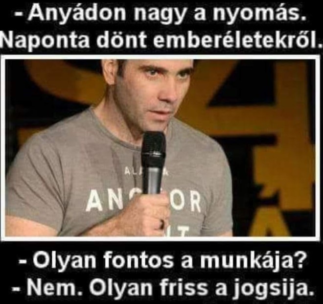 https://i.postimg.cc/Qt5LTbfm/anyadon-nagy.jpg