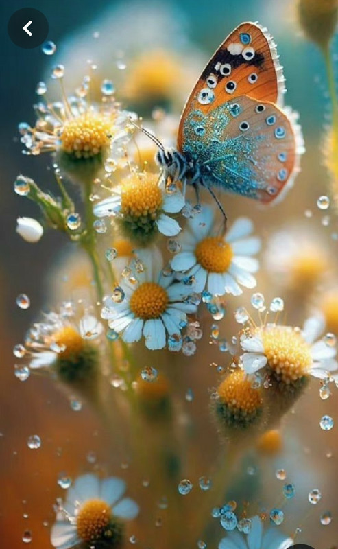 Screenshot_20240305_223048_Pinterest