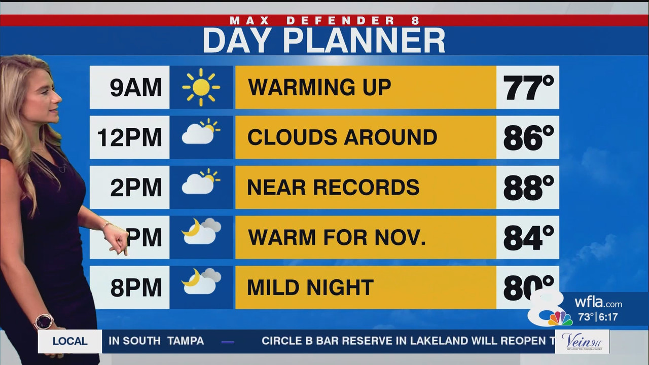 NewsChannel 8 Today at 6a_20241112_11001200.ts_snapshot_18.36.148