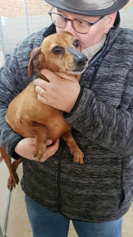 [Image: 20210411-213526.jpg]