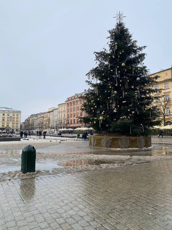 photo 2026 01 15 18 21 46