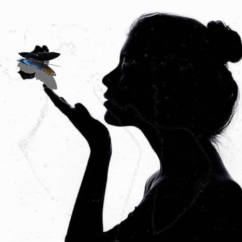 IMG-7656.gif