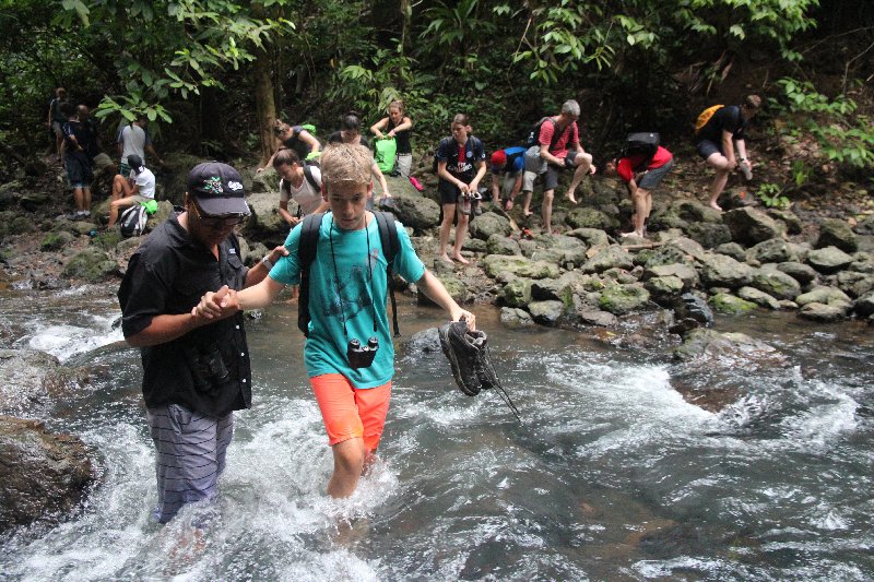 DIA 13: EXCURSIÓN DE UN DÍA A CORCOVADO - DE TORTUGAS Y PEREZOSOS. COSTA RICA 2019 (59)