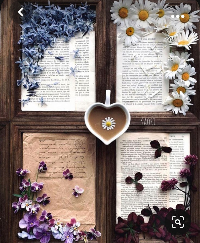 Screenshot_20231015_214829_Pinterest