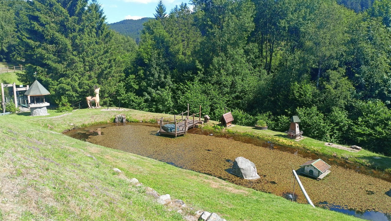 IMG20250628160430 (Large)