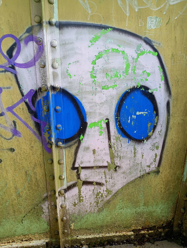 IMG 20260419 111259559 MFNR