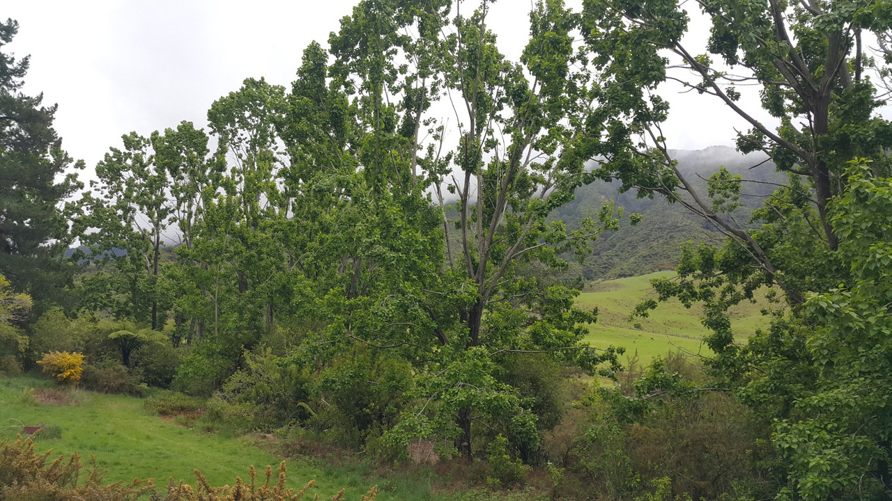 20201018_142105 (Large)