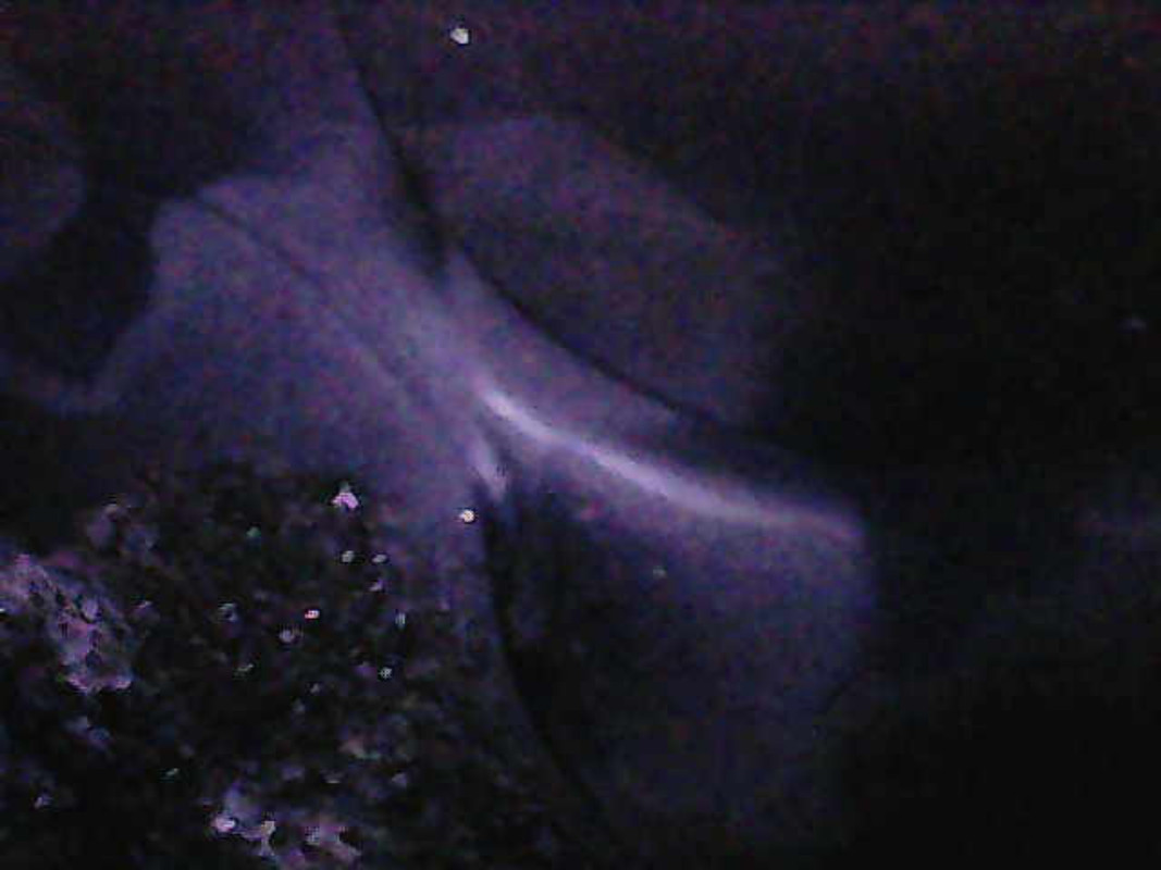 Photo_2025-06-05 21_50_32_317