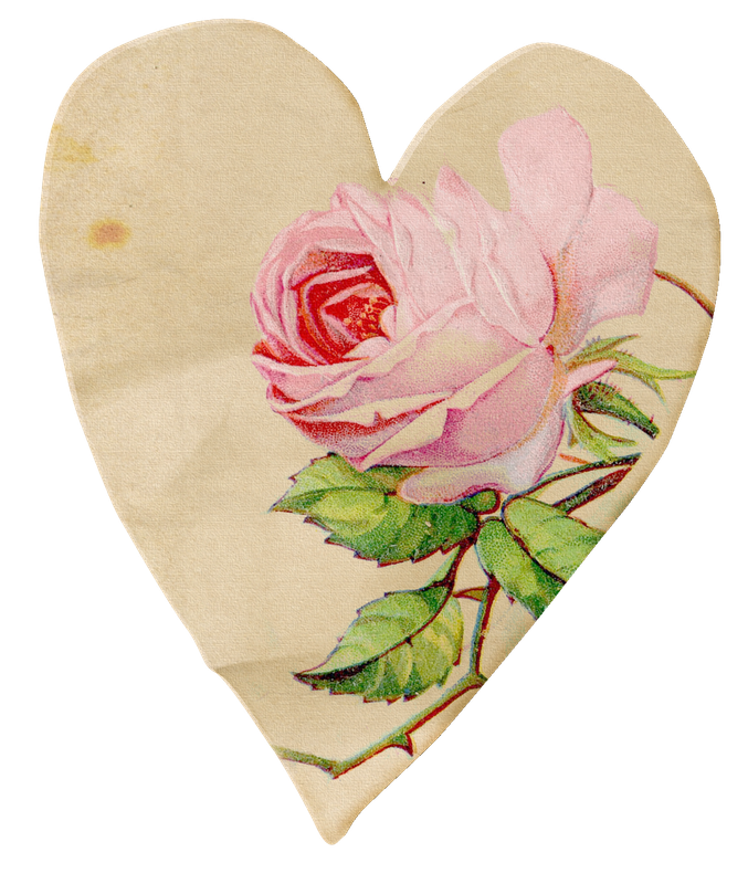 BIBI-PINK ANGEL ELEMS (12)