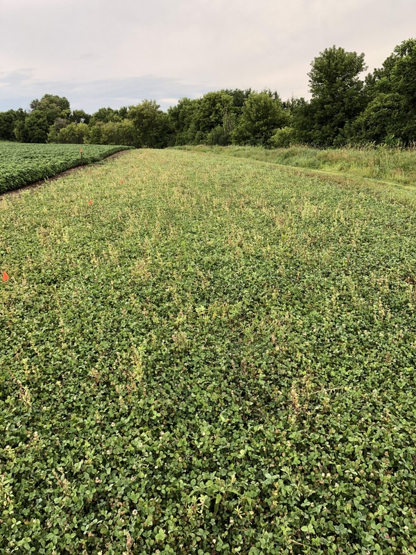 84862FD3-95B0-4AE3-B85B-3FEFE54B24C4